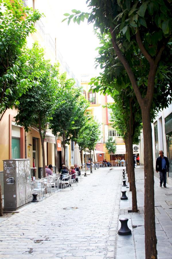 Apartamento Plaza Nueva Terraza Sevilla Exterior foto